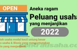 Bisnis apa ya 2022?