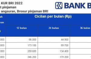 Brosur Pinjaman BRI, Tabel angsuran KUR BRI 2022